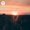 UCHA - Sunrise for You