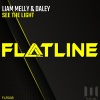 Liam Melly、Daley - See the Light (Extended Mix)