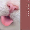 小vie - i love u