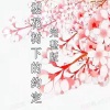 你的星辰y - 樱花树下的重逢