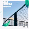 爱朵女孩、优秀少年(GOOD BOYS) - 我们后会有期