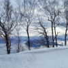 小vie - 风雪忆佳人