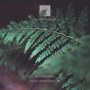 Heavenchord - Field Recordings #18