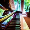 Florian Haik Schirmacher - Meditation On Prelude Opus 16 Number 4