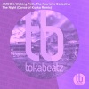 Amoon (AT)、Walking Path、The New Live Collective - The Night (Dance of Kukka Remix)