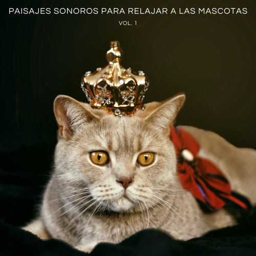 Biblioteca de Música Para Mascotas、Mascotas tranquilas、Reiki - Relajante Música De Océano