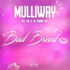 Mulliway、Fizz、JSH - Bad Breed (Explicit)