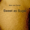 Nick van Dom - Sweet as Sugar (Boogie Boys Remix Long)