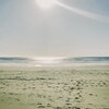 Distant Memories - Timeless