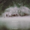 DeLoops - Hope (Ogge Remix)