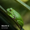 ALLY AL Music - Worth It