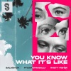 Salasnich、PY & Mastro Sally、Rhett Fisher - You Know What It's Like