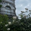 情白、诡谲 - Xin Đừng Nhấc Máy (0.8 explicit)