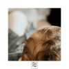 Daily Oasis of Calm、White Noise Research、White Noise Baby Sleep - Soft Melody