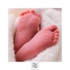 Melatonin Nature、White Noise Baby Sleep Music、White Noise - White Noise Tone