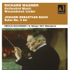 Moscow Radio Symphony Orchestra、Nikolai Golovanov - Parsifal, WWV 11 (Excerpts) : Act I Vorspiel