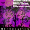 Ferenc Sapszon、Budapest Filharmóniai Társaság Zenekara、MRt Női Kara、Márta Szirmay - A Midsummer Night's Dream, Op. 61: Overture, Op. 21