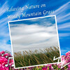 Easy Listening Background Music、Binaural Bob、Study Music - Relaxing Nature on Windy Mountain Grass - 2 Hours