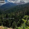 Suicide The Prophet - IDK (Explicit)