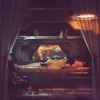 Nougat、Ambulo、kinissue、Amess - Im fine (feat. Ambulo Kinissue & Amess)