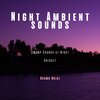 Night Sounds、Mother Nature Sound FX、Brown Noise Playlist - Night Ambient Sounds, Cricket, Swamp Sounds at Night with Brown Noise, Loopable