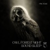 Nature Collective、Meditation Nature Noise、Sounds of the night - Owl Forest Night Sound Sleep, Relax (With Pink Noise) , Loopable