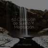 Mantra para Dormir、Relaxamento Sons da Natureza Ruído Branco Musicas Clube、Masaje Tantrico Musica Colección - Cayendo Hacia Afuera