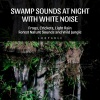 White Noise Universe、Peaceful Nature Music、Frog Sounds Channel - Swamp Sounds at Night with White Noise - Frogs, Crickets, Light Rain, Forest Nature Sounds and Wild Jungle, Loopable
