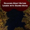 Nature Sounds Artists、Sounds of the night、Brown Noise Playlist - Relaxing Night Nature Sounds with Brown Noise, Loopable