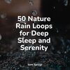 Sleep Songs with Nature Sounds、Classical Study Music、Sounds of Nature White Noise for Mindfulness Meditation and Relaxation - Pouring Rains