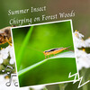 Nature Label、Baby Music Centre、The Calm Music Crew - Walking in Nature