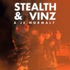 Vinz - A je normal? (Explicit)
