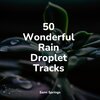 Loopable Rain、Sleep Songs with Nature Sounds、Sounds of Rain & Thunder Storms - Birds in the Night