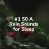 Yoga Trainer、Kinderlieder Megastars、White Noise Babies - Waves of Rain