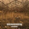 Mushroomer - Proteolysis