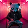 payo - Active