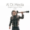 Al Di Meola - One Night Last June (Live)