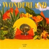 陆思恒 - WONDERLAND