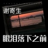 谢寄生 - 眼泪落下之前
