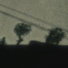 burbank - the world is ending and i'm still here