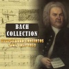 Collegium Musicum、Burkhard Glaetzner、Christine Schornsheim - I. Allegro