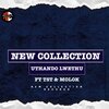 New Collection sa、TST MUSIC、Molok - Uthando lwethu (feat. TST MUSIC & MOLOK)