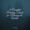 Relaxed Minds、Nature Sounds for Concentration、Asian Zen: Spa Music Meditation - Crashing Waves