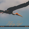 Woolfson、Sam Cross - Flying High