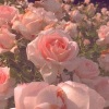 厘九 - Love Love Love