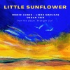 Libor Smoldas Organ Trio、F. Hubbard、A. Jarreau、Ingrid James - Little Sunflower