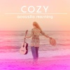 Acoustic Instrumental Collection - Perfect Sun