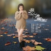 夏开玲 - 深秋的邂逅
