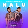 Deep Chills、Brendan Mills - Nalu