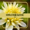刘连国 - 爱江山更爱美人